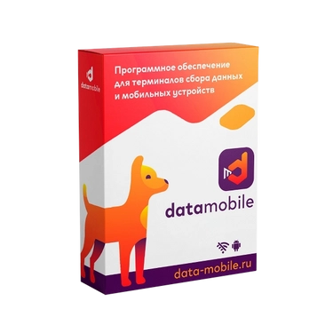 ПО DataMobile, версия Стандарт - LifeTime