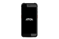 АТОЛ Smart T31