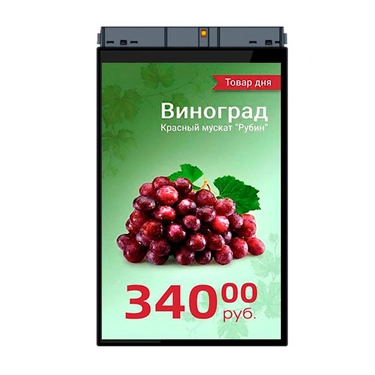 Дисплей MERTECH TFT101 SERIES 10,1” HL101 DUAL