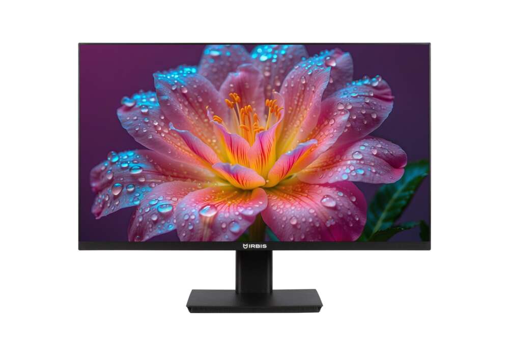 Монитор Irbis SmartView IMVW24FID01 23.8", 1920x1080, 75 Гц, IPS, LED, 3 мс, 1000:1, 250 Кд/м², 178°/178°, Display Port, HDMI, VGA, черный