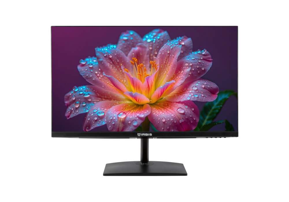 Монитор Irbis GroovyView IGV24FID01 23.8", 1920x1080, 75 Гц, IPS, LED, 3 мс, 1000:1, 250 Кд/м², 178°/178°, DisplayPort, HDMI, VGA (D-Sub), черный